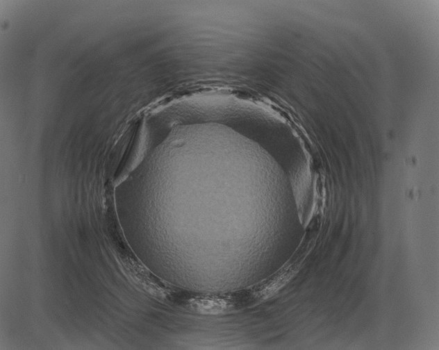 X0000082720512200702091816