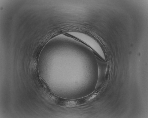 X0000082720513200702091816