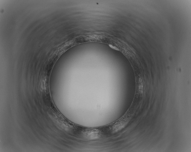 X0000082720514200702091816