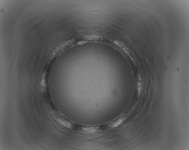 X0000082720516200702091816