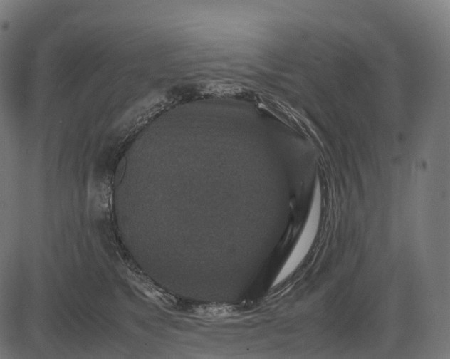 X0000082720517200702091816