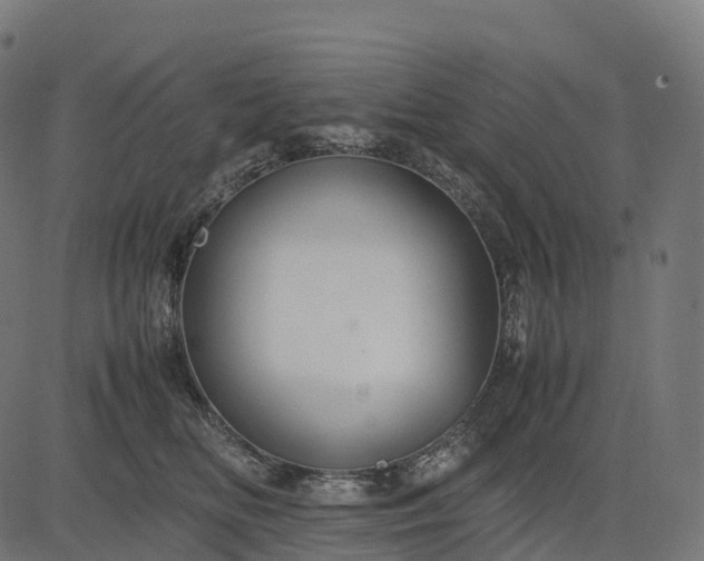 X0000082720518200702091816