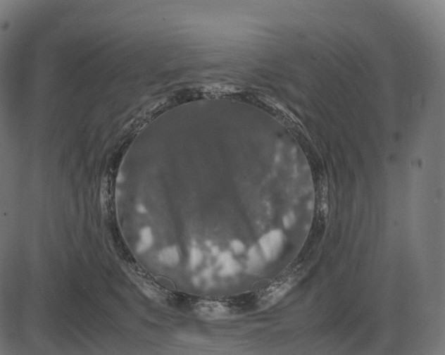 X0000082720519200702091816