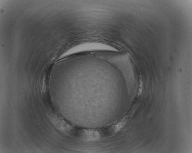 X0000082720520200702091816