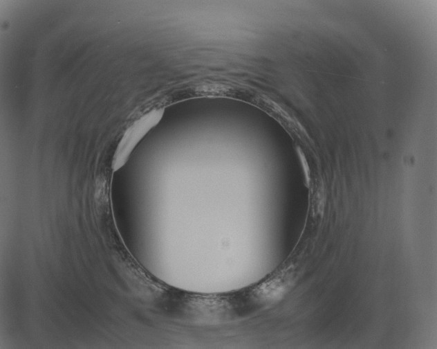 X0000082720521200702091816