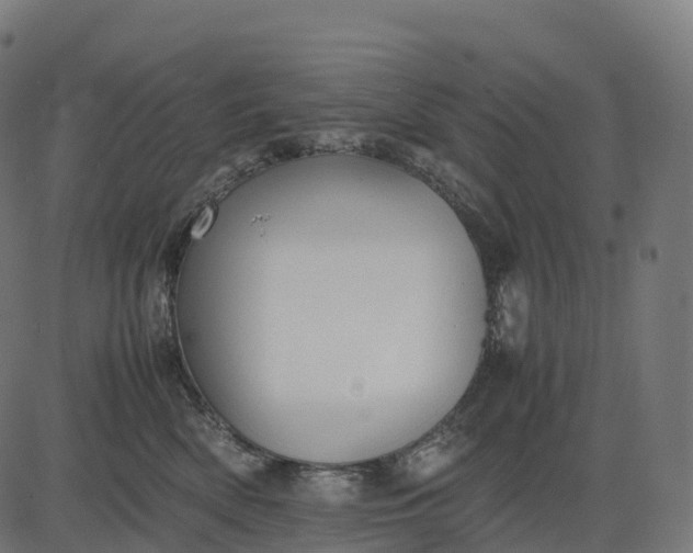 X0000082720522200702091816