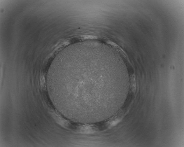 X0000082720523200702091816