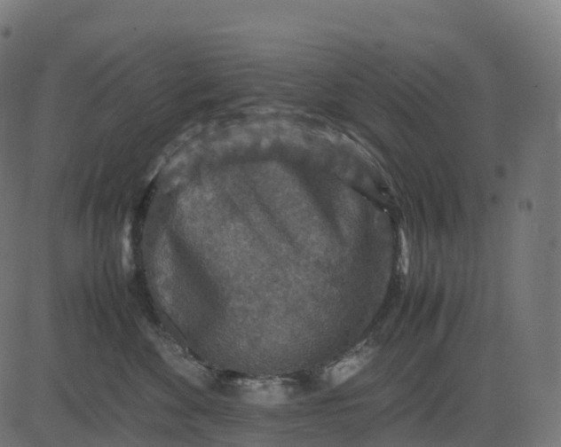 X0000082720524200702091816