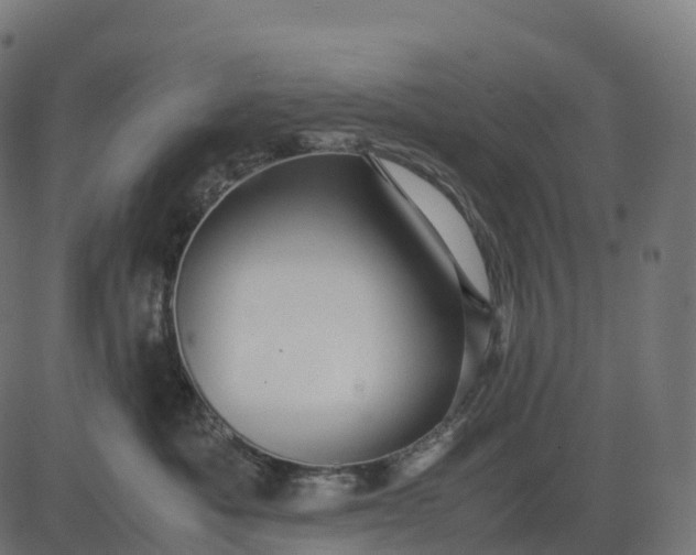 X0000082720525200702091816