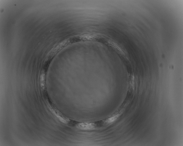 X0000082720526200702091816