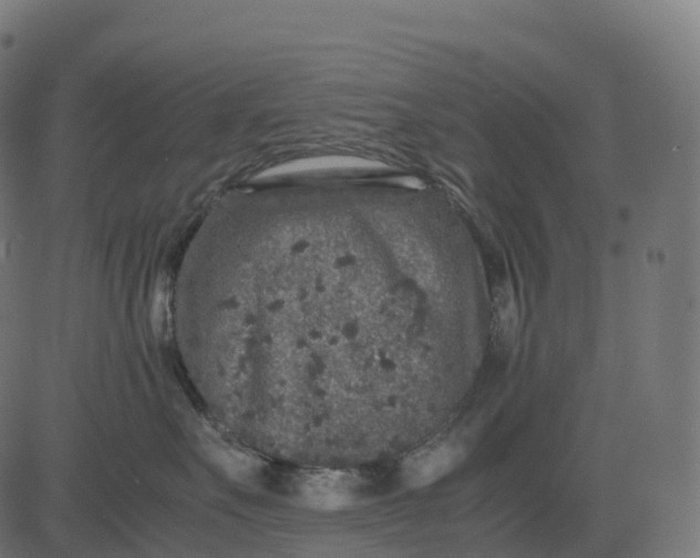 X0000082720527200702091816