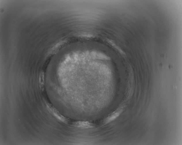 X0000082720528200702091816