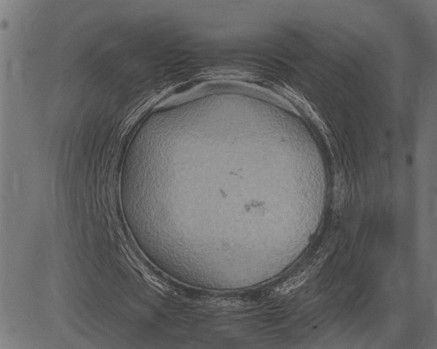 X0000082720529200702091815