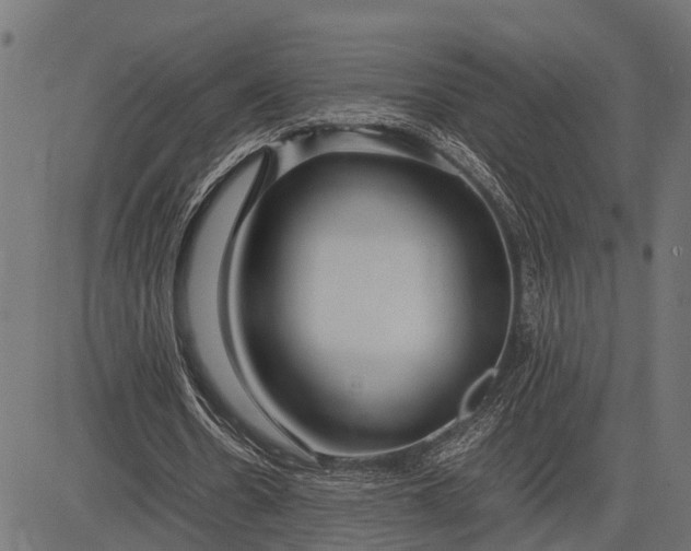 X0000082720530200702091815