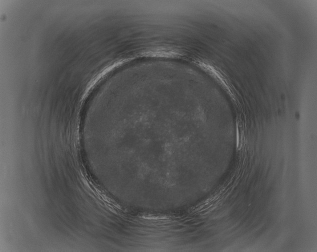 X0000082720531200702091815