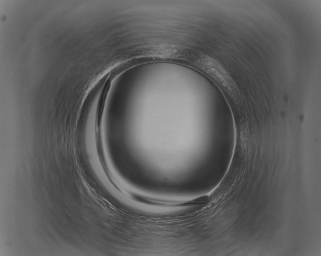 X0000082720532200702091815