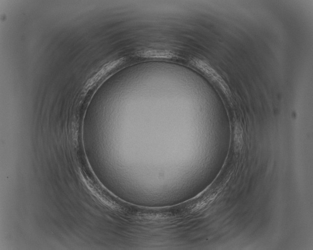 X0000082720533200702091815