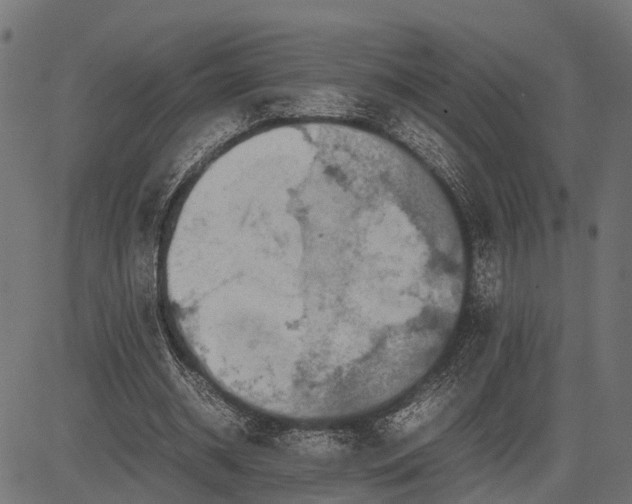 X0000082720534200702091815