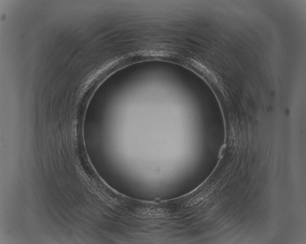 X0000082720535200702091815