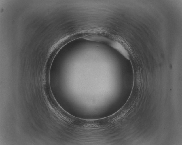 X0000082720536200702091815