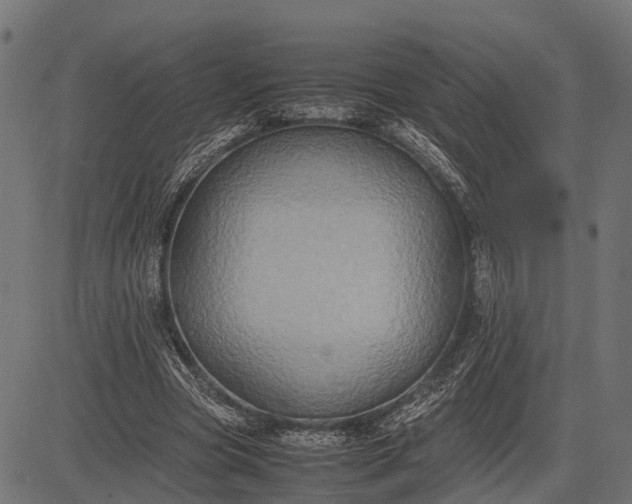 X0000082720537200702091815