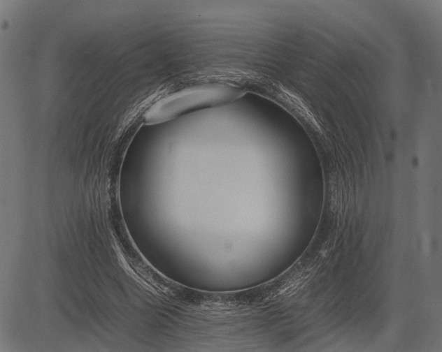 X0000082720538200702091815