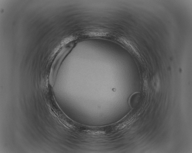 X0000082720539200702091815