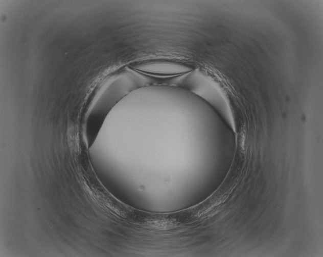 X0000082720540200702091815