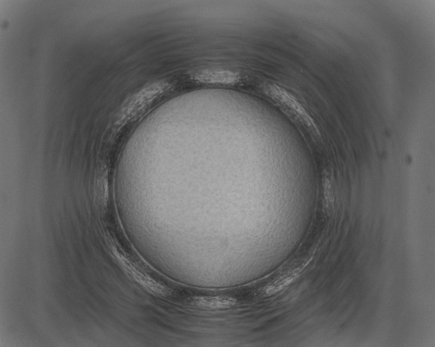 X0000082720541200702091815