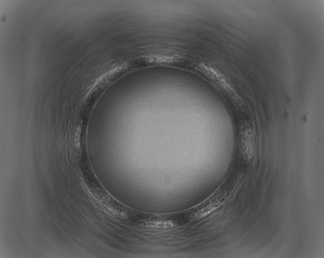 X0000082720543200702091815