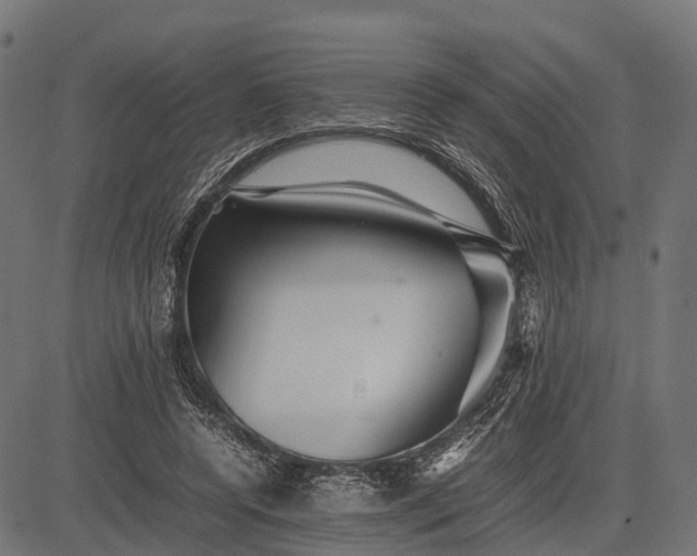 X0000082720544200702091815