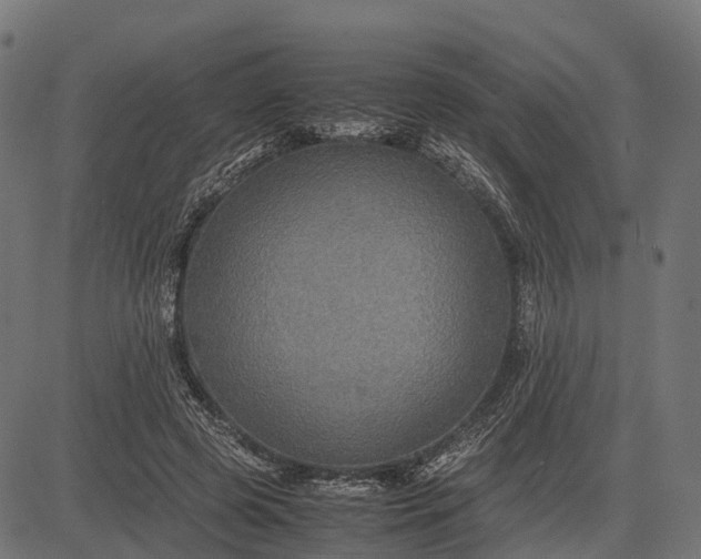 X0000082720545200702091815