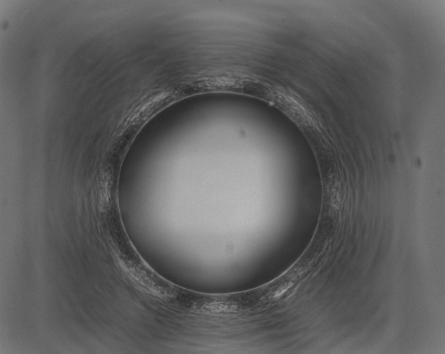 X0000082720546200702091815