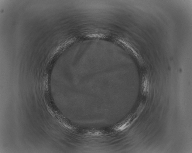 X0000082720547200702091815