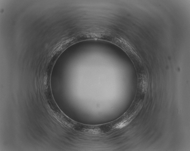 X0000082720548200702091815