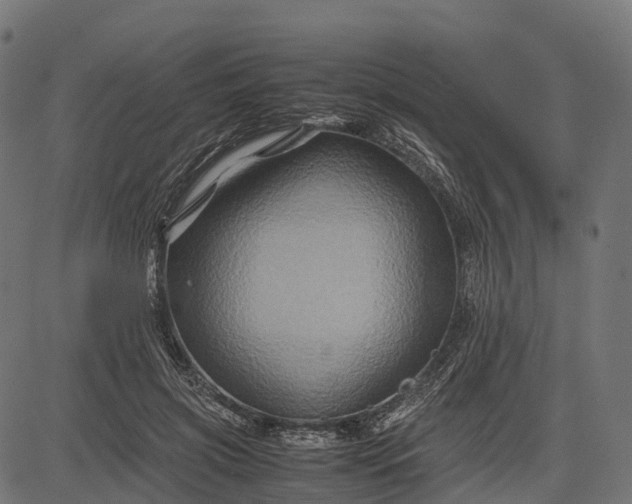 X0000082720549200702091815