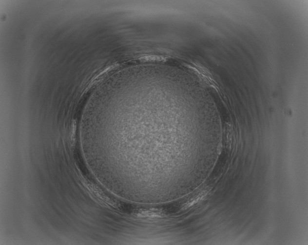 X0000082720550200702091815