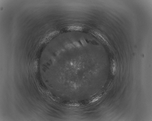 X0000082720551200702091815