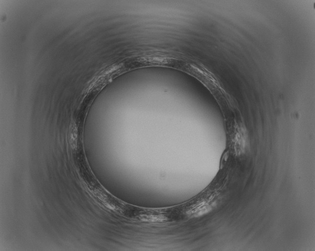 X0000082720552200702091815