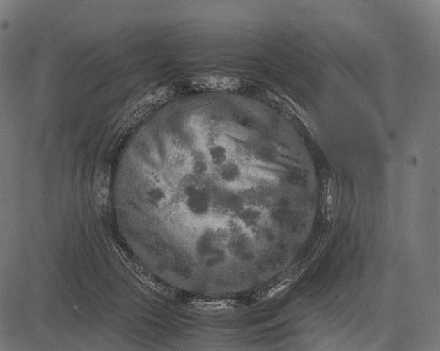 X0000082720553200702091815