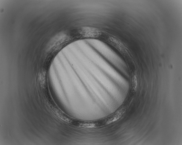 X0000082720554200702091815