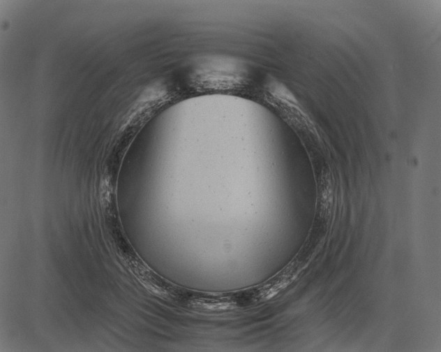 X0000082720555200702091815