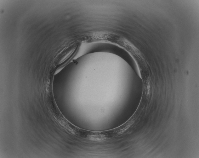 X0000082720556200702091815