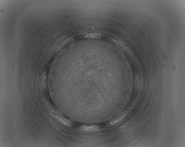 X0000082720557200702091815