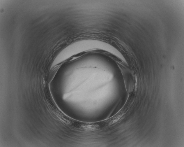 X0000082720558200702091815