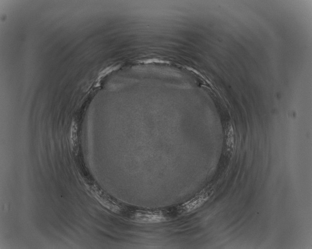 X0000082720559200702091815