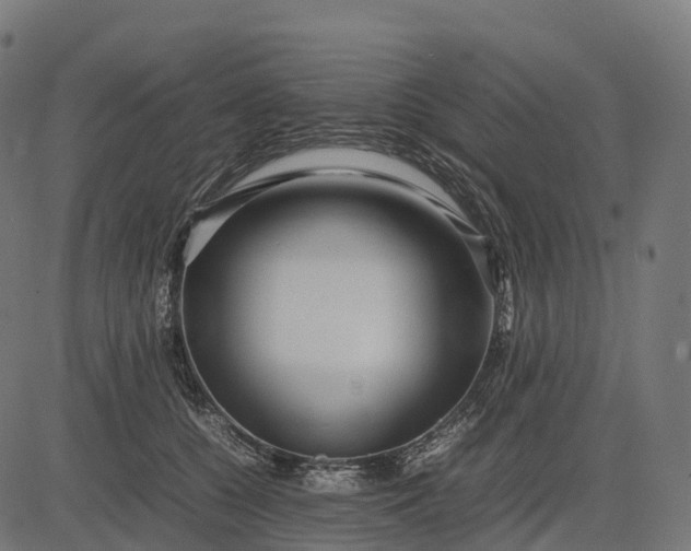 X0000082720560200702091815