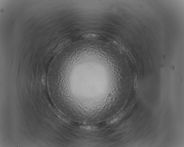 X0000082720561200702091815