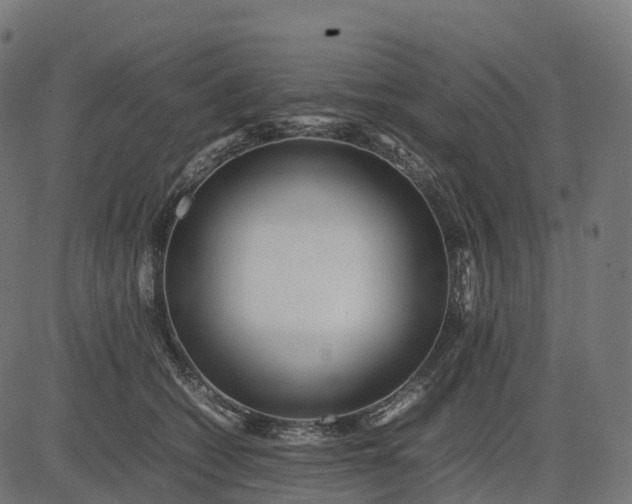 X0000082720562200702091815