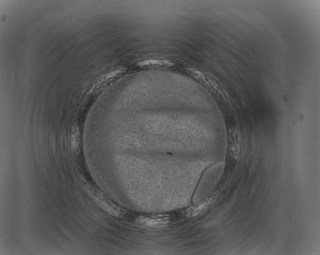 X0000082720563200702091815